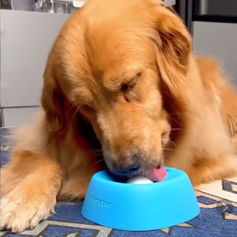 Anti-Choke Slow Feeder Dog Bowl & Lick Mat | 3/4 Cup Non-Slip Bowl for Treats, Broth, Yogurt