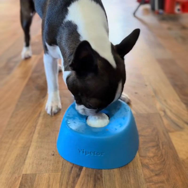 Anti-Choke Slow Feeder Dog Bowl & Lick Mat | 3/4 Cup Non-Slip Bowl for Treats, Broth, Yogurt